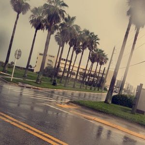 Meet your Posher, Bella